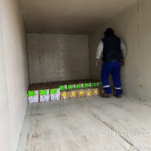 Para Manipulación de Explosivos y Materiales Relacionados